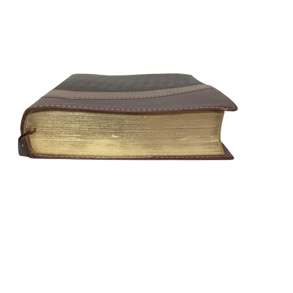 Santa Biblia Reina Valera 1960 Spanish Bible Brown Tan Imitation Leather Holman